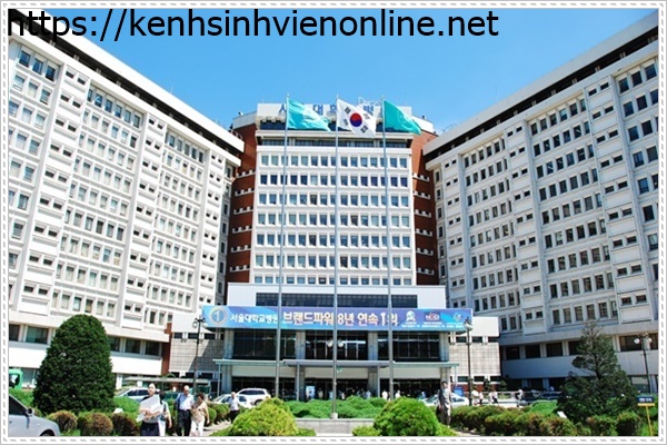 Những lợi ích của người Việt khi học tiếng Hàn