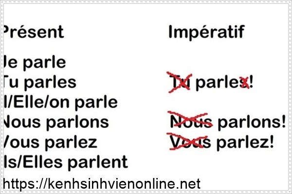 Học ngữ ph&aacute;p tiếng Ph&aacute;p c&oacute; thể n&oacute;i l&agrave; rất kh&oacute;